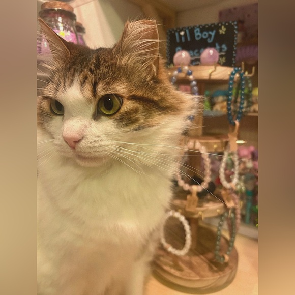 Bracelet's 💕 - Picture 2 of 2